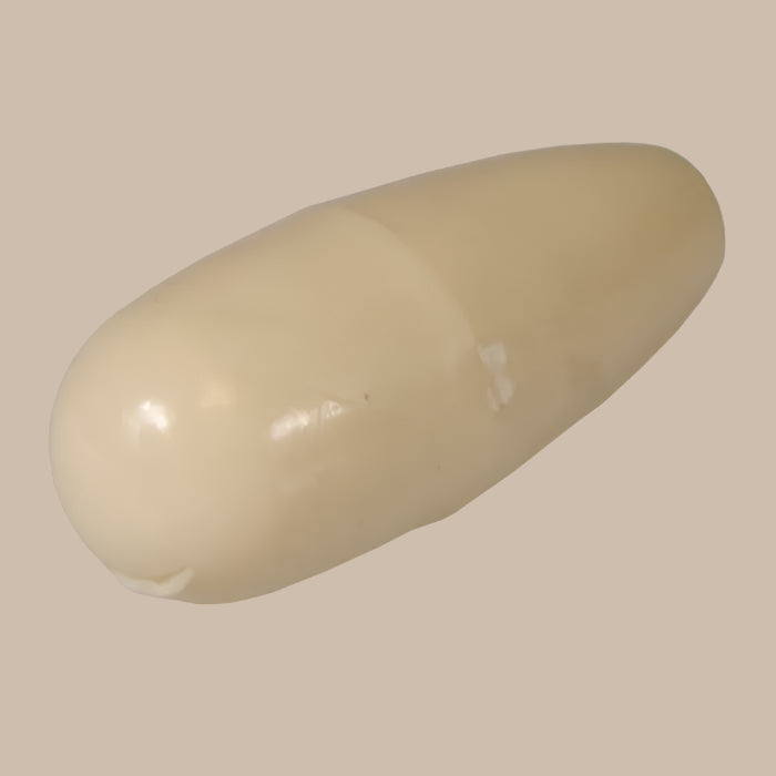 Indicator Switch Knob in Ivory: Beetle (1952-1959), T2 Split Bus (1955-1965), Beetle Cabrio (1952-1959)